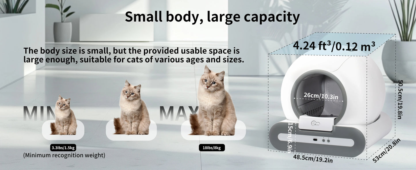 CatCapsuel™ – A Cat Comfort